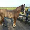 Natalie Redfern - @natalie.redfern - TikTok