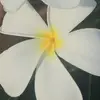 Natalie Redman648 - @natalienz2022 - TikTok