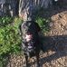 Natalie Renaud - Facebook