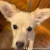 Natalie_rhoades_spam - @natalie_rhoades - TikTok