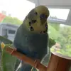 nataliericks - @nricks - TikTok