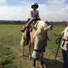 Natalie Schroeder - @natalie_schroeder - TikTok