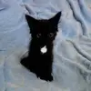 nat - @natalie.sager - TikTok