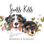 Natalie Salcedo - @swisskiss.berners.and.doodles - Instagram