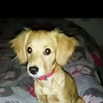 Natali Schefer - Facebook
