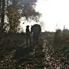 Natalie Schelle - @natalieschelle - TikTok