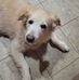 Natalie Schilling - Facebook