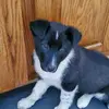 Natalie - @natalieshorters - TikTok