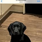Natalie Sisson - Facebook