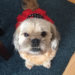 Natalie Sneed - @amy.grace_2012 - Instagram