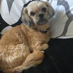 Natalie Sneed - @nat_nat_40 - Instagram