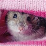 Nataliesneed - @nataliesneed2811 - Instagram