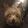 Natalie Soto - @nataliesoto20 - TikTok