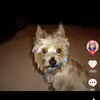 user472621377404 - @nataliesparks2020 - TikTok