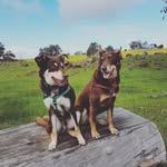 Natalie Spooner - @natalie.spooner.65 - Instagram