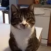 Natalie Spooner Henn - @nataliespoonerhen - TikTok