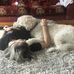 Natalie Stanton - Facebook