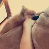 Natalie Stephens - @nataliestephens8 - TikTok