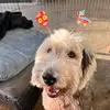 Natalie Strange461 - @nataliestrange461 - TikTok