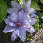 Natalie Straub - @n6885s - Instagram