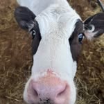 Natalie Stuart - @nataliestuart665 - Instagram