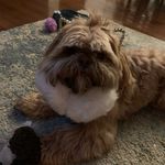 Natalie Stuart - @natalie.stuart.16 - Instagram