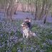 Nathalie Stutz - Facebook