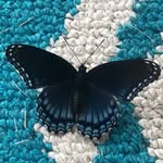 Nsure - @nataliesurettesclass - Instagram