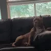 Natalie Townsend622Natalie - @natalietownsend62 - TikTok