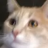 Nattylite - @nataliatrimble - TikTok