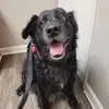 Natalie Coffman-Tyre - @natalie.coffmanty - TikTok