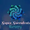 super succulents - @natalievisser4 - TikTok