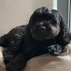 Natalie Waldman - @nataliedwaldman - TikTok