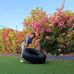 Natalie Waldman - Facebook