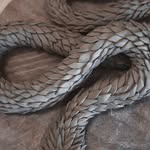 Natalie Walker - @nataliewalkerceramics - Instagram