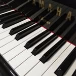 Natalie Blanch - music teacher, Warwick QLD - @natalieblanch_musicstudio - Instagram
