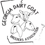Natalie Webber - @ga_dairy_goat_breeders - Instagram