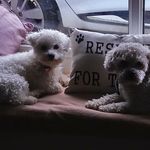 Natalie Dark - @natalie.wicks.56 - Instagram