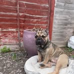 Natalie Wicks - Facebook