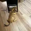 natalielee7141 - @natalie_work - TikTok