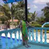 Nataly Pinilla Jimen - @natazacha - TikTok