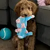 Natalya Brown - @natalya.brown2 - TikTok