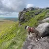 Natasha & Narla - @natashaamos2 - TikTok
