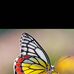 Natasha Amos - Facebook