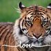 Natasha Amos - Facebook