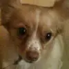natashaapodaca5 - @natashaapodaca5 - TikTok