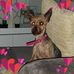 Natasha Louise Atkinson - Facebook