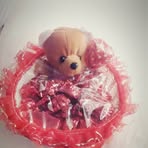 Natasha Banerjee - Facebook