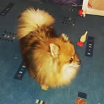Наталья Бардашевич - @natasha.bardashevich26 - Instagram