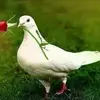 Natasha Block - @blocknatasha65 - TikTok